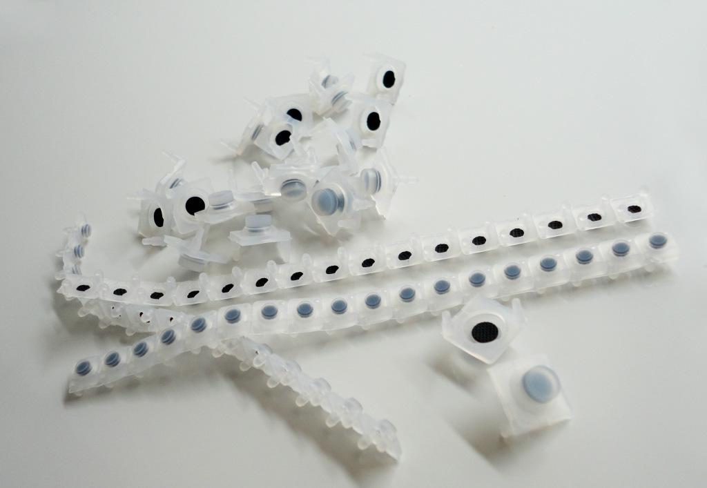 421fesv.jpg 421fesv.jpg